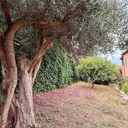 Casa Sciaria * Zambrone